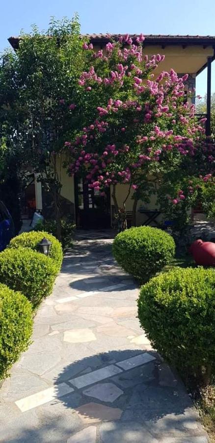 Hotel Maria Chrysi Ammoudia Exterior photo