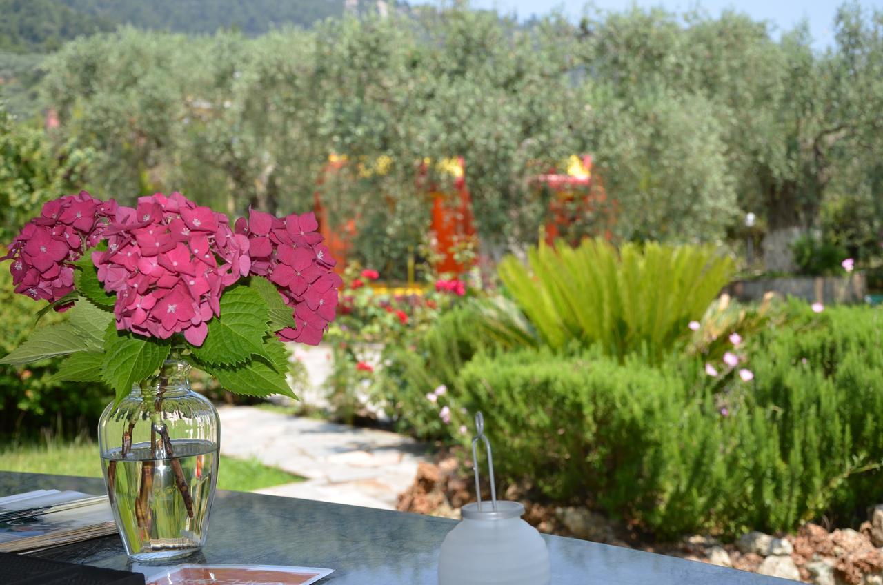 Hotel Maria Chrysi Ammoudia Exterior photo